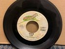 1974 QUEEN 45 RPM 7” Single (Elektra Records) “LIAR/Doing All Right” (A34)