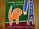 RARE TEENAGE FANCLUB & JAD FAIR - WORDS OF WISDOM AND HOPE NM VINYL 2002