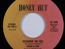 Modern Soul Boogie 45 BRIAN & ZAN Schemin' On You HONEY HUT VG+ HEAR