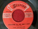 The Shirelles 45 Dedicated to the One I Love SCEPTER 1203 pop r&b 1958 doowop NM