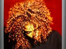 JANET JACKSON The Velvet Rope UK PRESS FROM 97 2 LPS-PUSHES THE SEX BOUNDARIES