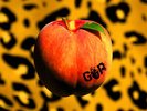 Gorilla Riot : Peach VINYL 12