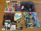 The Seeds 1967 GNP Crescendo Stereo LP 