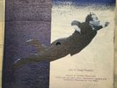 Maroccolo Gianni - Y. Klein Sonata per soli bassi saturi  7