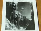 FLYING SAUCER ATTACK.. LP..VERY RARE NUMBERED  + INSERT..SPACE ROCK..SHOEGAZE