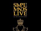 Simple Minds Live In The City Of Light NEAR MINT Virgin 2xVinyl LP
