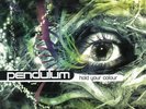 Pendulum Hold Your Colour Vinyl LP New 2018
