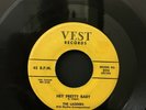 Doo wop 45 Thje Ladders Hey Pretty Baby