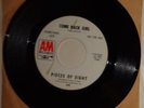 PIECES OF EIGHT: Come Back Girl / T.N.T.  Promo, 1967, 45 RPM, A&M Records ?879