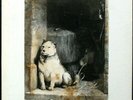 PAVLOV'S DOG 'Pampered Menial' 1975 1st press (ABC) white label Promo LP