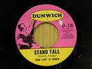 Luv'd Ones 45 Stand Tall bw Come Back - Michigan Girl Group Garage on Dunwich