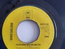 Northern Soul Record. Sandi Sheldon. You're Gonna Make Me Love You. Ex Cond