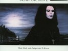DEAD OR ALIVE - MAD, BAD, AND DANGEROUS TO KNOW - MOV - MUSIC ON VINYL - LP