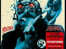 DRAHDIWABERL - Psychoterror    ***750 Stück Auflage - rotes Vinyl***