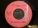Rare N.C. Garage 45: The Fabulous Cobras  Some Kind Of Future  JCP 1051