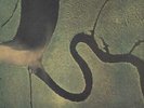 The Serpent's Egg - VG Dead Can Dance vinyl LP album record UK CAD808 4AD 1988