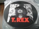 T. Rex ?– The Slider UK LP Picture Disc Marc Bolan
