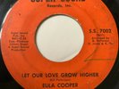 Rare Northern Soul 45/ Eula Cooper 