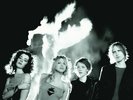 HOLE Celebrity Skin 180gm Vinyl LP NEW SEALED Music On Vinyl