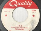 GARAGE PUNK The Haunted 1-2-5 Quality 45 rare Canadian KILLER 'Hunted' pressing