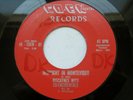 BISCAYNES W/ CO-ENCIDENTALS - MIDNIGHT IN MONTEVIDEO - EX+ 45 RPM RECORD