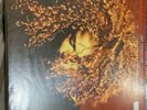 JANET JACKSON VELVET ROPE LP VINYL SEALED 1st Press