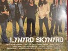 Lynyrd Skynyrd - Icon [RARE BRAND NEW VINYL LP] 