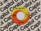 THE SHAG: Stop and Listen US Capitol ’67 Garage Rock 45 HEAR