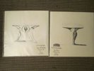 Smashing Pumpkins RSD 7