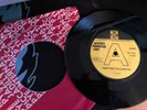 THE BOBCATS , CAN'T SEE FOR LOOKING , PROMO 1967 rock