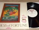 Goddess of Fortune (Vinyl LP) NM George Harrison