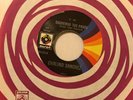 Chalino Sanchez. Siguiendo Tus Pasos/Chame Felix. VG Light Scratches. Plays Well