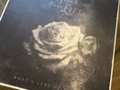 Whats Left Of Me von More Than Life Red Vinyl