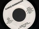 Hear 1976 Riot Illinois Punk/New Wave 45 Problems of Life / Rock & Roll Riot