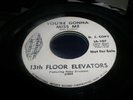 13th Floor Elevators on INT107