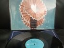Disco Vinile Album Vasco Rossi Ma Cosa Vuoi Che Sia Una Canzone Ristampa matita