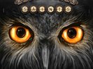 Revolution Saints - Light in the Dark