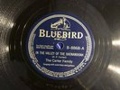 COUNTRY CARTER FAMILY Bluebird 8868 Dark& Stormy Weather/Valley Shanandoah E+