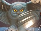 Rush - Fly By Night (LP - New) 2015 Mercury Pressing. 200g Audiophile 45 RPM