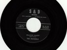 THE SHANDELS - Stacked Nasty / Awake My Child garage surf instro (S&D) *HEAR