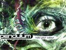 Pendulum-Hold Your Colour (Repress) VINYL NEW