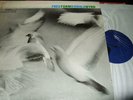 DONALD BYRD : FREE FORM LP BLUE NOTE BST 84118 USA