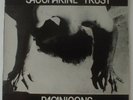 SACCHARINE TRUST PAGANICONS LP 1ST PRESS SST-006 RARE 1981 LA PUNK HARDCORE KBD