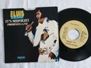 Elvis 7