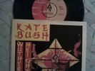 Kate Bush wuthering heights demo record 45 rpm single ... picture sleeve