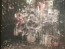 LA DISPUTE - WIldlife, Limited 2LP CLEAR COLORED VINYL Gatefold MN- 2011