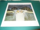 Bundle Cocteau Twins Garlands UK 1st Press LP + Iceblink Luck 12