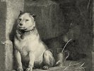 Pavlovs Dog-Pampered Menial (1LP) VINYL NUOVO