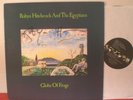 ROBYN HITCHCOCK  Original Autographed LP : Globe Of Frogs