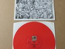 THE BLOOD False Gestures For A Devious Public LINK RED VINYL PRESSING LP CLINK5